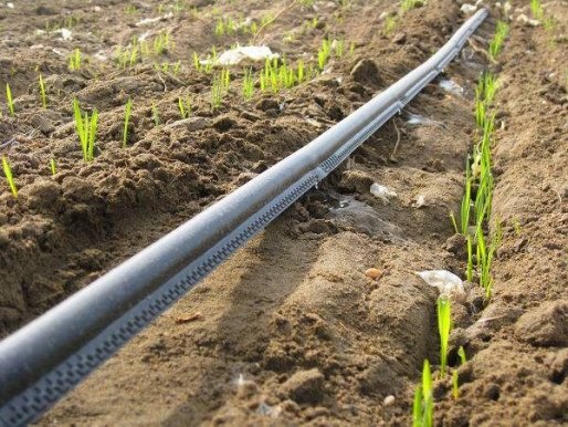 مخازن آب 164 روستای سقز به سیستم کُلرزنی قطره‌ای مجهز می شود