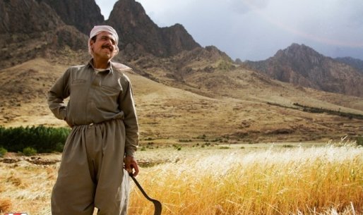 کاهش 50 درصدی بیمه محصولات کشاورزی در کردستان/ کشاورزان کردستانی به دلیل بدعهدی‌ها رغبتی به بیمه محصولات خود ندارند