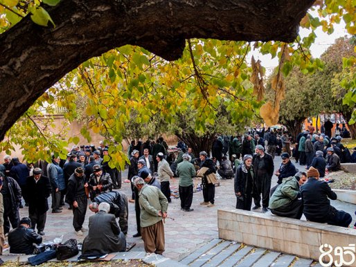 سالمندان قطعه گم شده در پازل برنامه ریزی های شهری مدیران