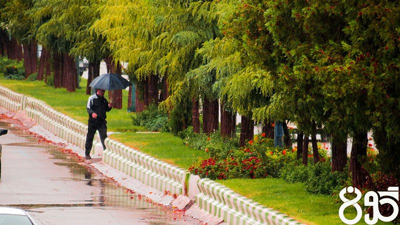 سقز زیر بارش باران رحمت به روایت تصویر