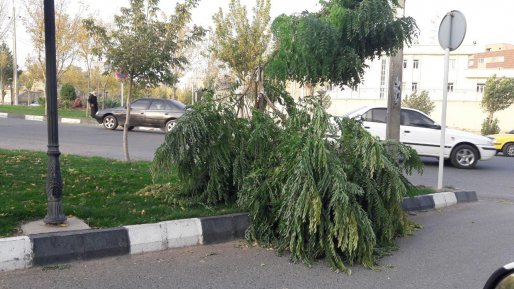 باد با سرعت 68 کیلومتر بر ساعت سقز را درنوردید