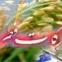 مبلغ زکات فطریه در سقز 4هزار و 500 تومان اعلام شد
