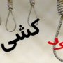 ﺁﯾﺎ ﺧﻮﺩﮐﺸﯽﻫﺎﯼ ﺍﺧﯿﺮ ﺩﺭ ﺳﻘﺰ ﺩﻻﯾﻞ ﺍﻗﺘﺼﺎﺩﯼ ﺩﺍﺭﺩ؟