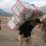 وداع مرزنشینان کردستانی با کولبری