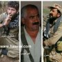 آیا ورود گروه های کاملا مسلح به ایران جنبه فرهنگی داشته است؟/+اسامی و تصویر 11 کشته شده اعضای دموکرات در سروآباد