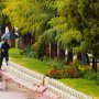 سقز زیر بارش باران رحمت به روایت تصویر