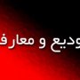 یک روحانی اهل سنت سکاندار مرکز بزرگ اسلامی سقز شد