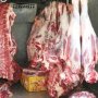موردی از ابتلا به تب کریمه در کردستان مشاهده نشده است