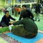برگزاری جشنواره بازی های بومی محلی در سقز به روایت عکس