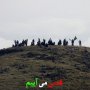 پویش مردمی «قدس می آییم» در سقز + عکس