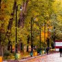 کاهش دمای هوا در کردستان/ هوای استان تا دو روز آینده غبارآلود است