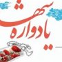 یادواره شهدای پایگاهی در روستای «گوره قلعه» سقز برگزار شد