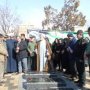سقزی ها به مهمانی لاله رفتند + تصویر