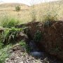 حکایت آب در کوزه و ما تشنه لبان گرد جهان می گردیم در سقز+ عکس
