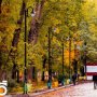 طبیعت پاییزی پارک مولوی کُرد از دریچه دوربین گولان سقز
