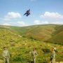 آزادی 15 قطعه کبک و عقاب در سقز
