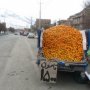 دردسرهایی از جنس شهرنشینی/ معضلی به نام آلودگی صوتی دوره گردها در سقز