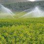 33 طرح مختلف کشاورزی در سقز به بهره‌برداری رسید