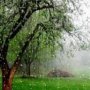 ورود سامانه بارشی جدید به کردستان/ کاهش دمای هوا