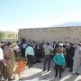 ذبح 59 رأس دام سنگین و سبک در روستای «مرخز» سقز+ عکس