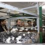 راه اندازی کارگاه تولید قارچ در یکی از مدارس سقز+ عکس
