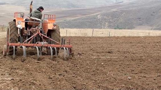 كشاورزان كردستانی كشت پاییزه خود را هرچه سریعتر آغاز كنند