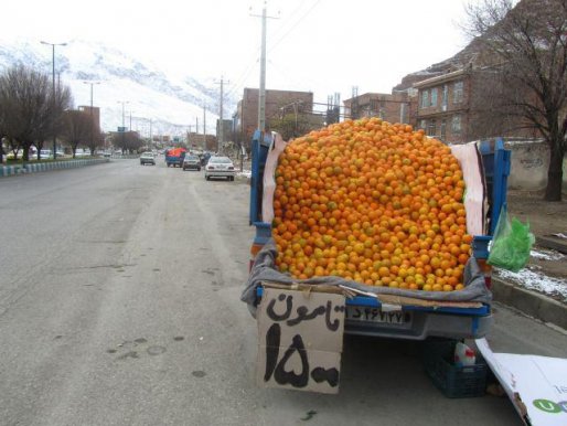 دردسرهایی از جنس شهرنشینی/ معضلی به نام آلودگی صوتی دوره گردها در سقز