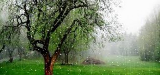 ورود سامانه بارشی جدید به کردستان/ کاهش دمای هوا
