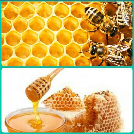 لزوم برندسازی عسل سقز در سطح ملی و بین المللی/ تولید بیش از 250 تن عسل مرغوب در سقز