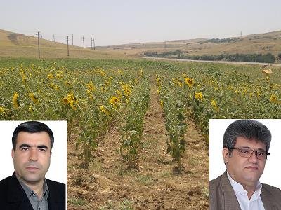 نافع علائی نیا بعنوان مدیر جهاد کشاورزی  سقز منصوب شد