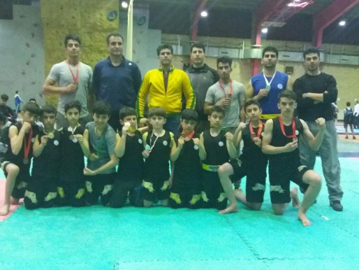 افتخار آفرینی ووشو کاران سقزی در مسابقات قهرمان کشوری مازندران