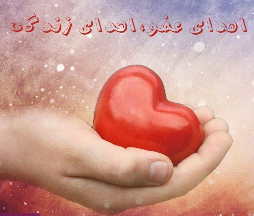 اهدای اعضای بدن یک جوان کردستانی جان چند نفر را از مرگ نجات داد