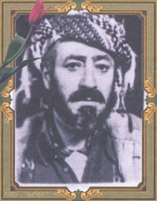 فرماندهی که دشمنان فکر می کردند شطرنج باز است/پاکسازی 15 روستا کم تر از یک هفته