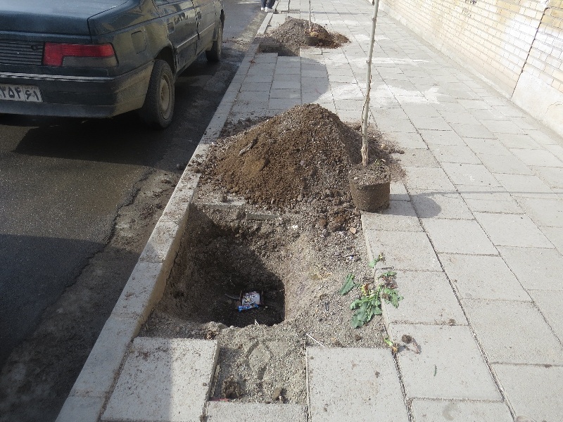 درختکاری، هفته درختکاری، روزمنابع طبیعی، کاشت نهال، غرس اصله نهال، گولان