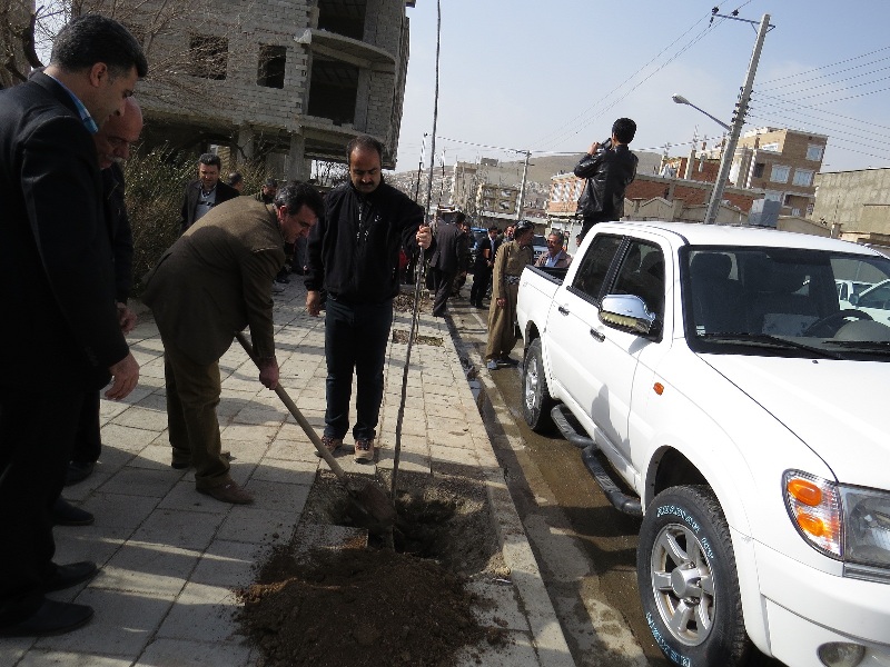 درختکاری، هفته درختکاری، روزمنابع طبیعی، کاشت نهال، غرس اصله نهال، گولان