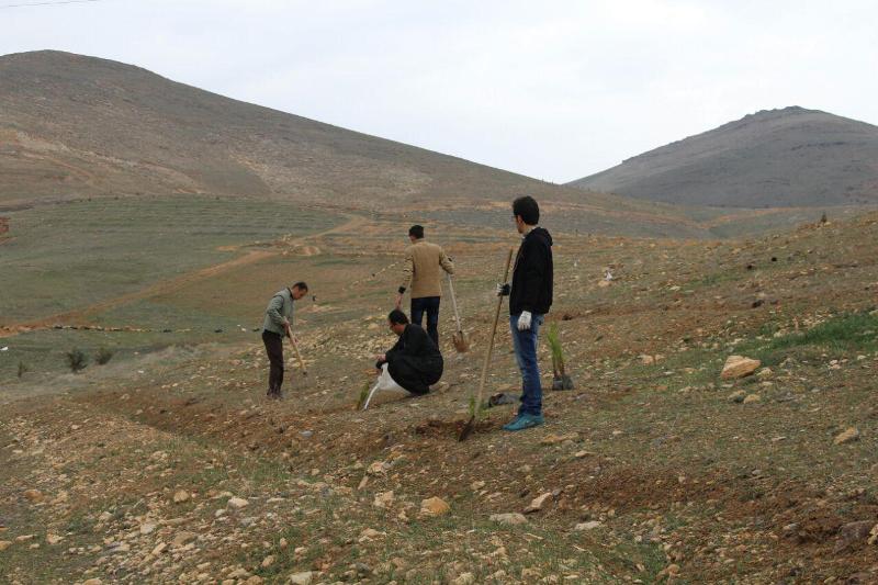 درختکاری، هفته درختکاری، روزمنابع طبیعی، کاشت نهال، غرس اصله نهال، گولان